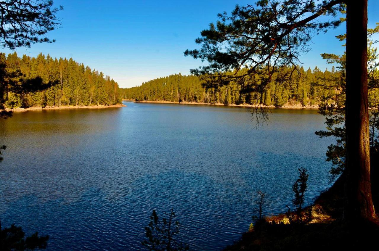 Lake And Forest Hideaway Årjäng Екстериор снимка